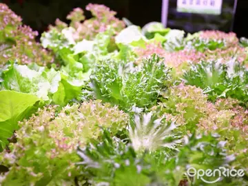 你以為只是在吃生菜嗎？來場綠色革命吧