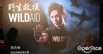 【NEWS】拒吃魚翅！天王周杰倫正式號召全台響應！六福集團同步公告不再提供魚翅產品！