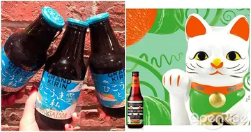 【NEWS】精釀啤酒正夯！日本手繪風「飛機雲與我」、貓奴必敗「南瓜招財貓啤酒」不當酒鬼也要搶收藏