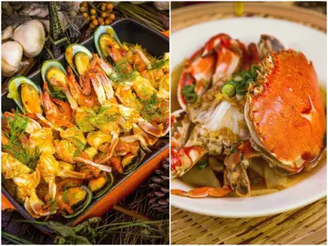 【廣宣特輯】迎接早秋，獨家期間限定吃到飽！豐FOODx金色三麥冠軍啤酒+肥美大閘蟹，豐FOOD讓您吃飽喝足！