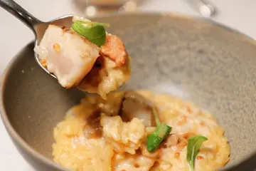 【信義區美食】必去餐酒館+1！蔥油餅Taco吸睛度破表 微風南山「瑪黑餐酒」驚豔茶調酒搶客開幕 