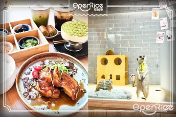 【台北】療癒到心坎裡！台北6間寵物餐廳推薦，活潑狐獴陪你吃飯、近距離欣賞大嘴鳥
