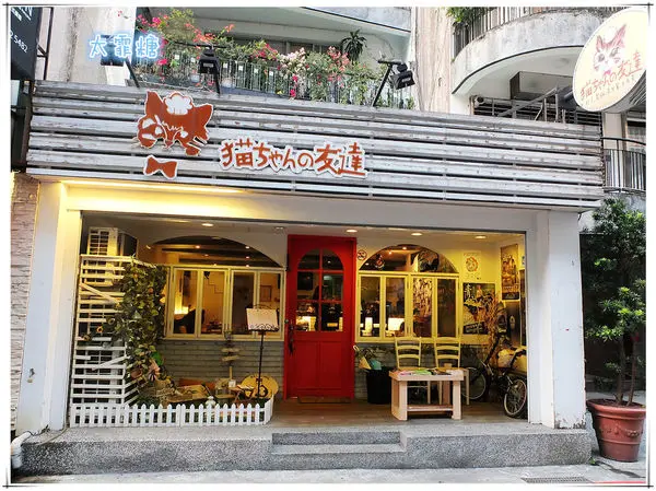 貓咪先生的朋友