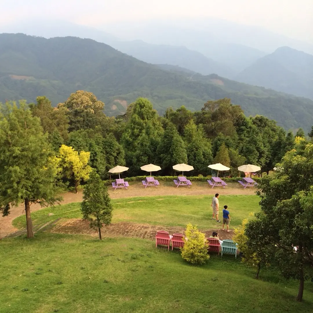 綠光森林富野綿羊牧場