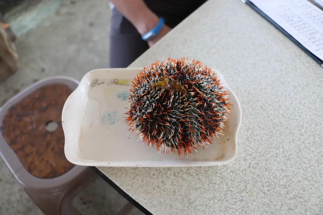 阿挺海鮮小吃部