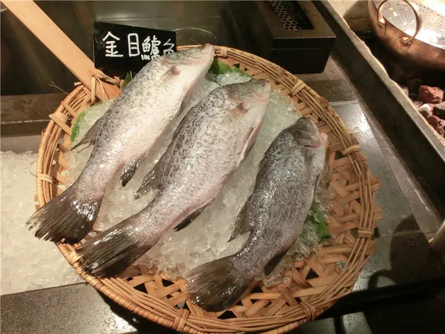 金目鑪魚