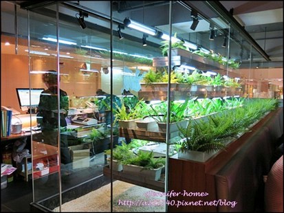 一片明亮的玻璃擺著綠色植物，視覺效果好極了