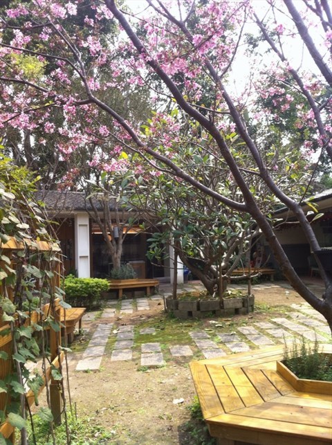 舒服的戶外庭院，櫻花也開的很漂亮