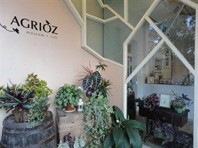 AGRIOZ Cafe'