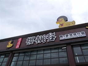 礁溪庄櫻桃谷櫻桃鴨專賣店