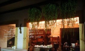 5 senses café 萬芳店