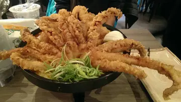 花都開好了