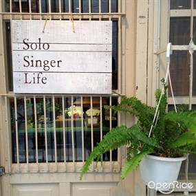 Cafe Solo Singer Life