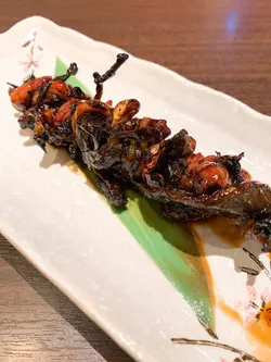 鰻魚肝