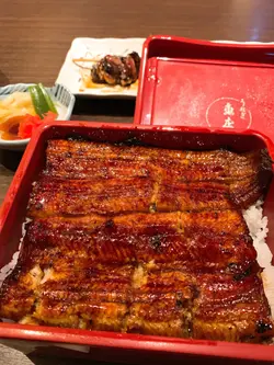鰻魚飯