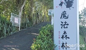 魔法森林景觀咖啡小餐館