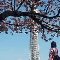 Denise 丹妮絲