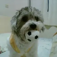 yuyen2002