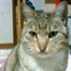 lovely.mary.792