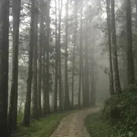 riwhuang620